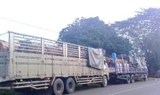 Ketua Dewan Adat Kutai Barat Klarifikasi Isu Penahanan Truk Kayu: Bukan Penahanan, Tapi Miskomunikasi