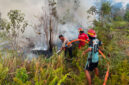 Tim gabungan dari Polsek Damai, BPBD Kutai Barat, dan Manggala Agni berupaya memadamkan kebakaran lahan gambut seluas 5 hektare di Kampung Lumpat Dahuq, Kecamatan Damai, Kabupaten Kutai Barat, Kamis (20/8/2026).