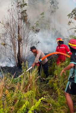 Lahan Gambut 5 Hektare di Kutai Barat Terbakar, Tim Gabungan Berjibaku Padamkan Api