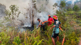 Tim gabungan dari Polsek Damai, BPBD Kutai Barat, dan Manggala Agni berupaya memadamkan kebakaran lahan gambut seluas 5 hektare di Kampung Lumpat Dahuq, Kecamatan Damai, Kabupaten Kutai Barat, Kamis (20/8/2026).