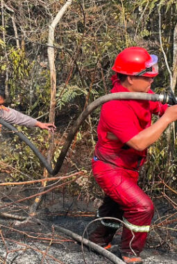 Lahan Gambut di Jengan Danum Terbakar, Asap Tebal Ganggu Pengendara Trans Kaltim