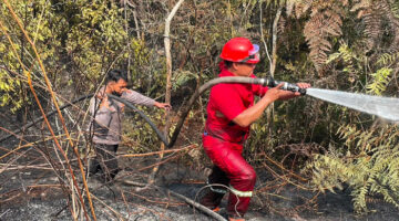 Lahan Gambut di Jengan Danum Terbakar, Asap Tebal Ganggu Pengendara Trans Kaltim