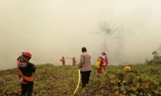Api Meluas Akibat Angin Kencang, Tim Gabungan Berhasil Padamkan Karhutla 25 Hektare di Pepas Eheng
