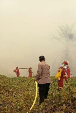 Api Meluas Akibat Angin Kencang, Tim Gabungan Berhasil Padamkan Karhutla 25 Hektare di Pepas Eheng
