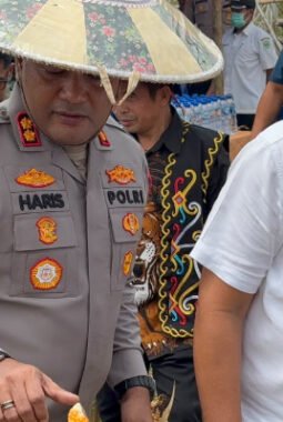 Tembus Kendala Kemarau, Kapolres dan Wabup Kubar Sukses Panen 2 Ton Jagung di Bentian Besar